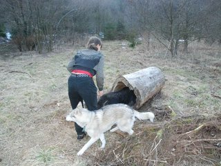 2009-04-02_ntb_5807