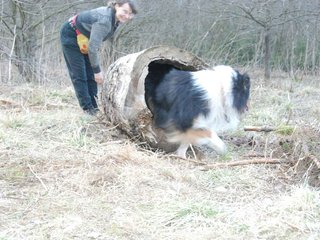 2009-04-02_ntb_5808