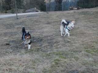 2009-04-02_ntb_5813