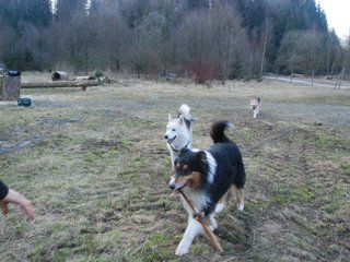 2009-04-02_ntb_5814