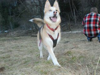 2009-04-02_ntb_5816