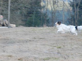 2009-04-02_ntb_5819