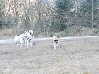 2009-04-02_ntb_5820