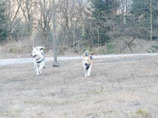 2009-04-02_ntb_5821