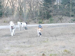 2009-04-02_ntb_5822