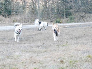 2009-04-02_ntb_5823