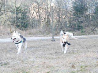 2009-04-02_ntb_5825