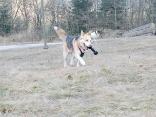 2009-04-02_ntb_5827