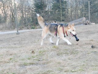 2009-04-02_ntb_5828