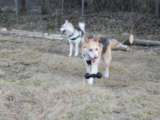 2009-04-02_ntb_5829