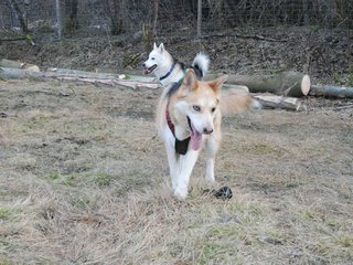2009-04-02_ntb_5830