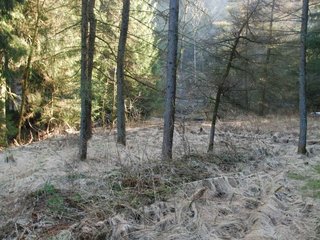 2009-04-03_ntb_5832