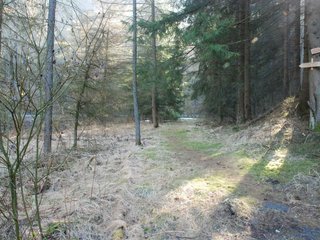 2009-04-03_ntb_5833
