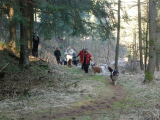 2009-04-03_ntb_5837