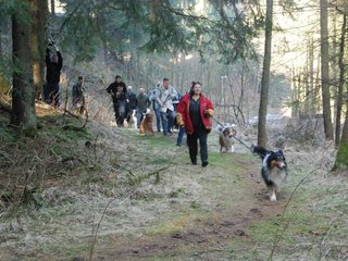 2009-04-03_ntb_5838