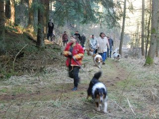 2009-04-03_ntb_5839