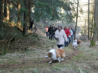 2009-04-03_ntb_5840