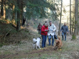 2009-04-03_ntb_5842