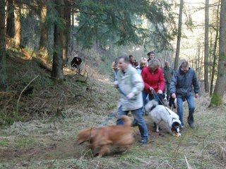 2009-04-03_ntb_5843