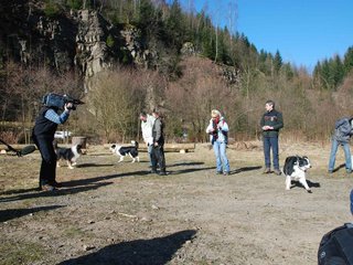 2009-04-03_ntb_5857