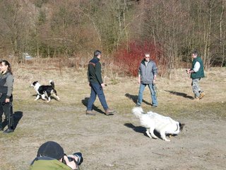 2009-04-03_ntb_5861