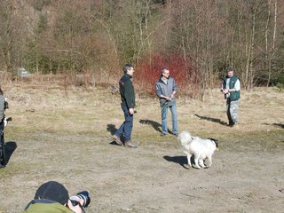 2009-04-03_ntb_5862
