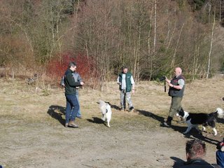 2009-04-03_ntb_5863