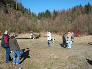 2009-04-03_ntb_5866