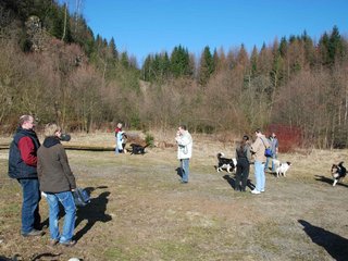 2009-04-03_ntb_5867