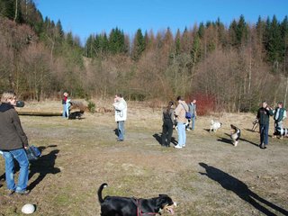 2009-04-03_ntb_5868