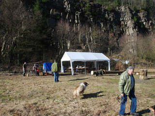 2009-04-03_ntb_5871