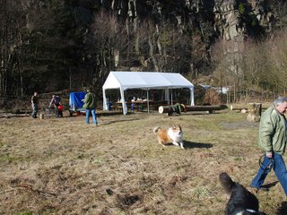 2009-04-03_ntb_5872