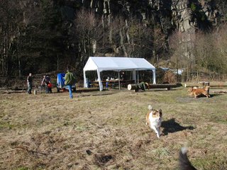 2009-04-03_ntb_5873