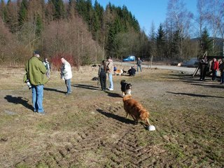 2009-04-03_ntb_5876