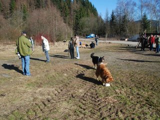 2009-04-03_ntb_5877