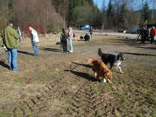 2009-04-03_ntb_5878