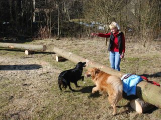 2009-04-03_ntb_5879