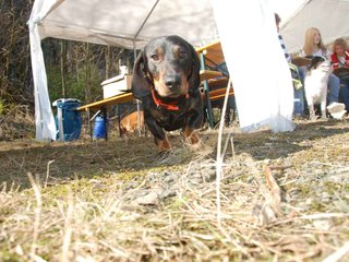 2009-04-03_ntb_5883