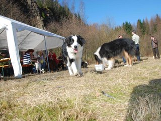 2009-04-03_ntb_5884