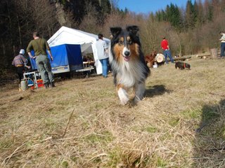 2009-04-03_ntb_5888