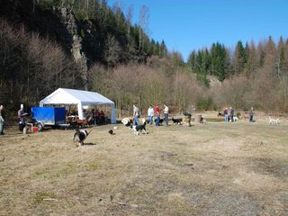 2009-04-03_ntb_5889