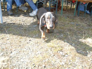 2009-04-03_ntb_5897