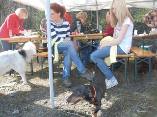 2009-04-03_ntb_5899