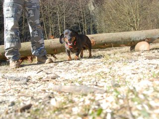 2009-04-03_ntb_5900
