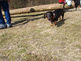2009-04-03_ntb_5901