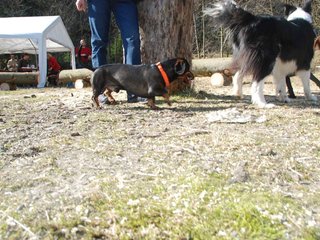 2009-04-03_ntb_5902