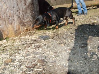 2009-04-03_ntb_5903