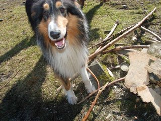 2009-04-03_ntb_5904