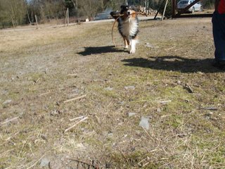 2009-04-03_ntb_5905