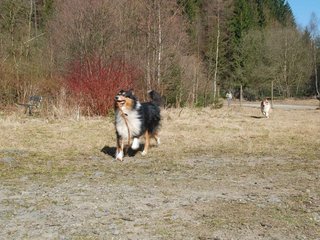 2009-04-03_ntb_5906